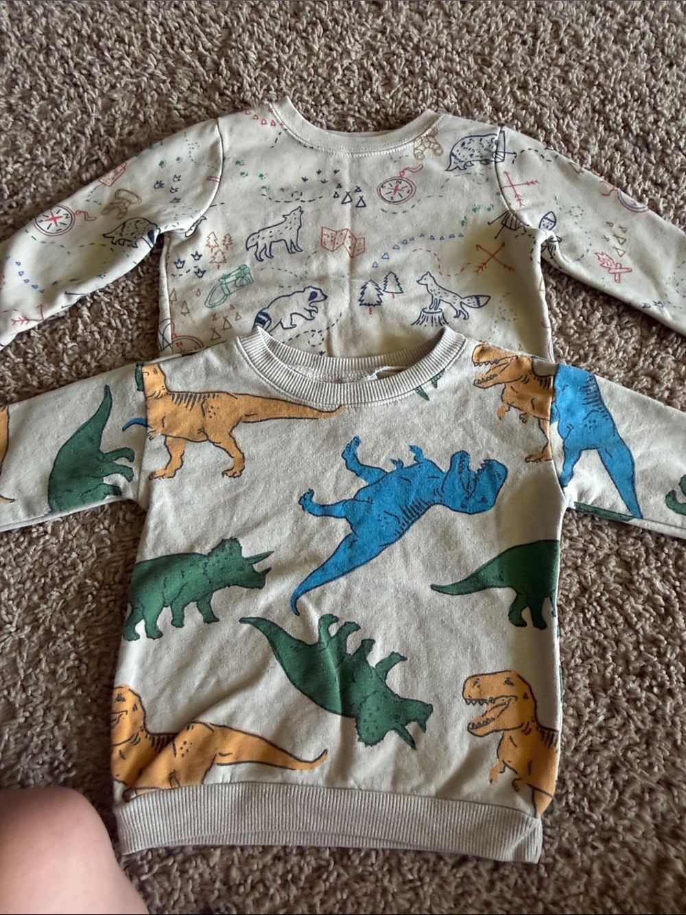 Kidgets Dinosaur Crewneck Sweatshirt - Blue/Green/Orange